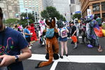 DSC_6450.JPG